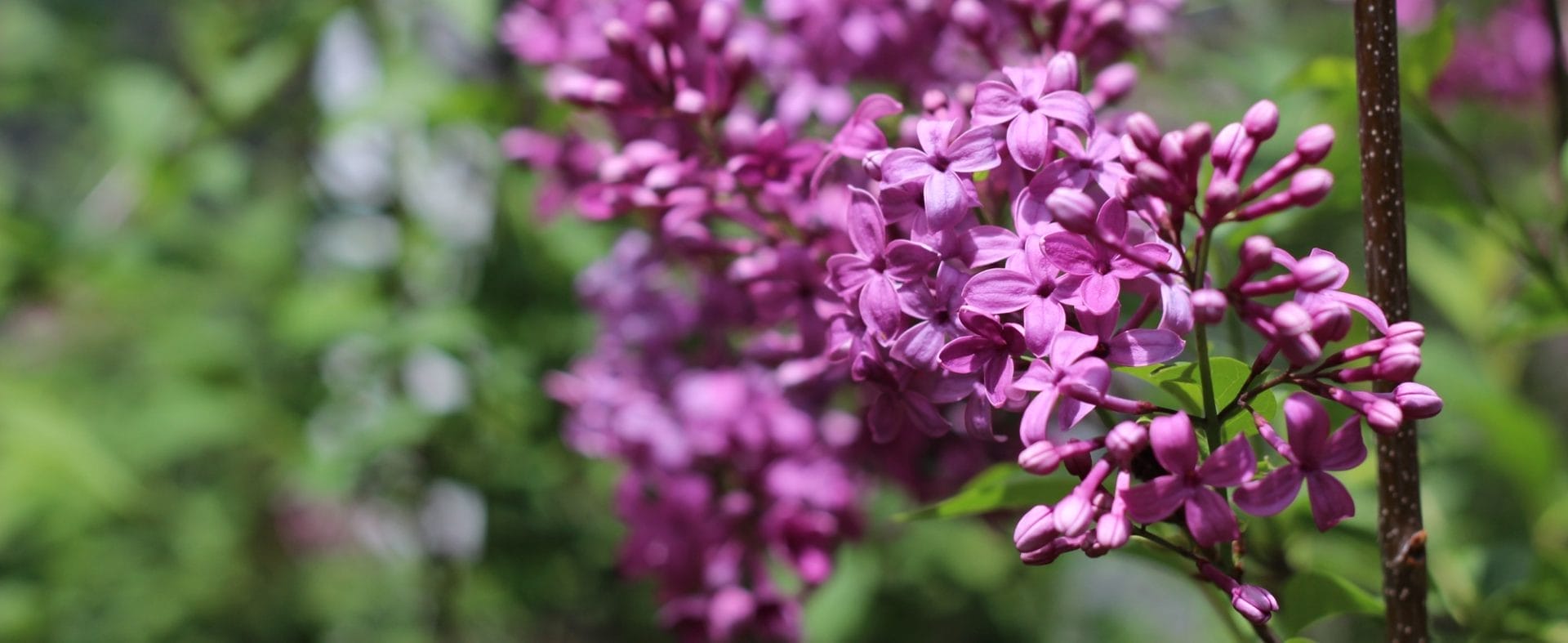 An Artsy Type of Commitment