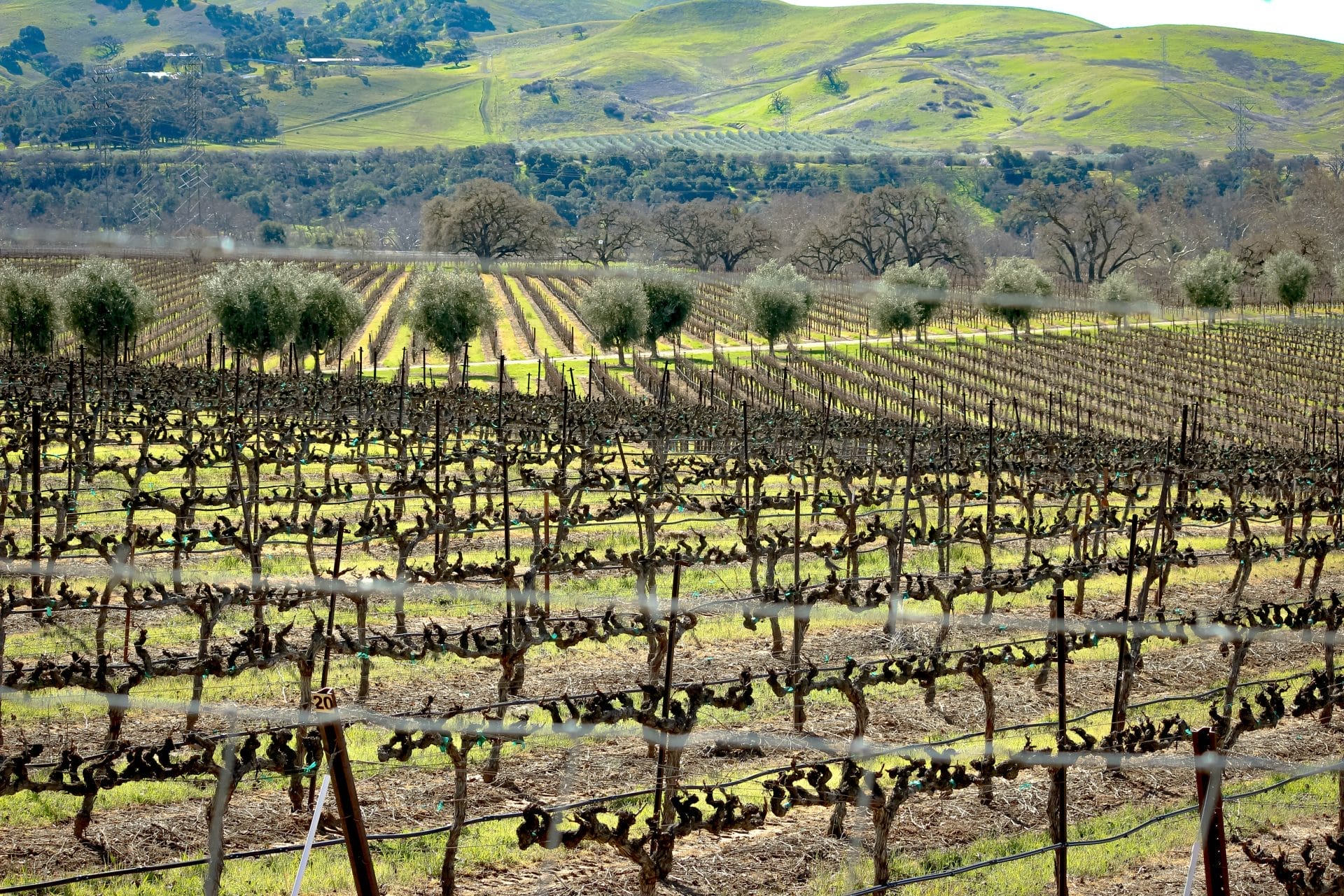 LIVERMORE, CALIFORNIA